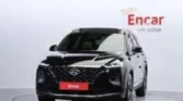Hyundai Santa Fe TM Diesel 2.0 2WD Exclusive Special 2018